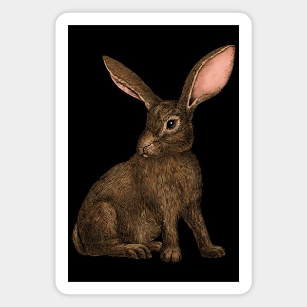 Rabbit 4 Magnet by katerinamk